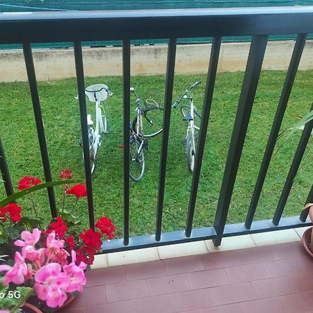Ferienwohnung Ani Porto SantʼElpidio Exterior foto